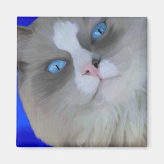 Blue Eyes Magnet