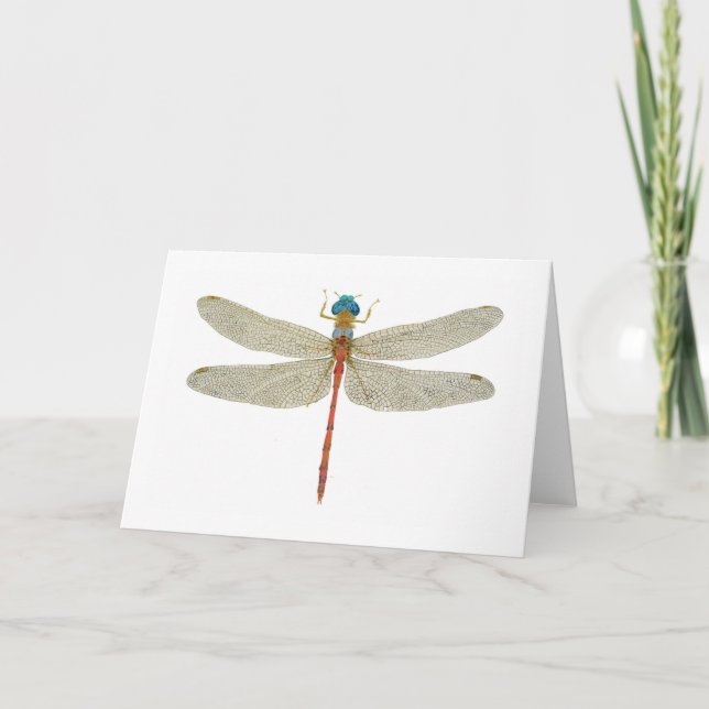 Blue-Faced Meadowhawk Dragonfly Card (Front)