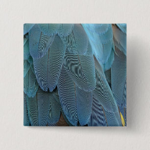 Blue Feather 2 Inch Square Button