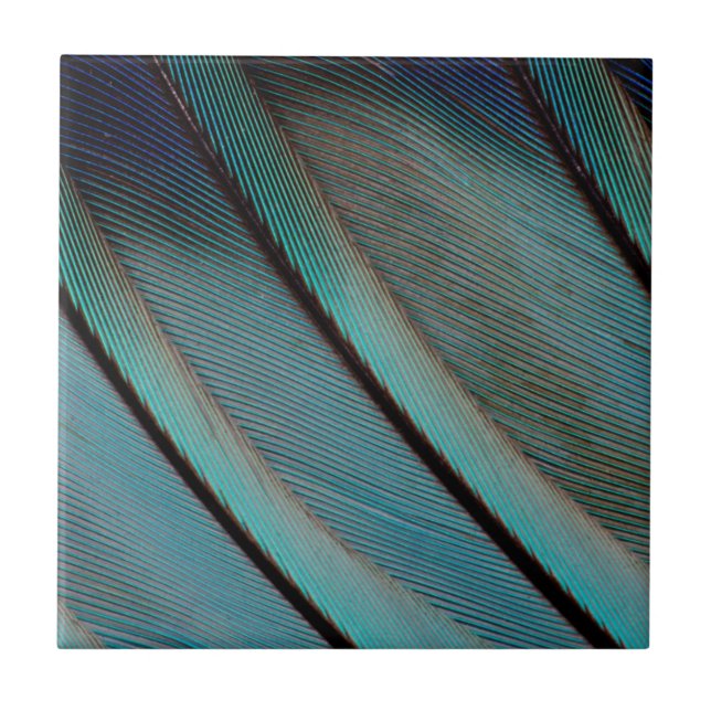 Blue feather pattern tile (Front)