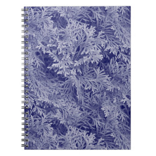 Blue Fir Notebook