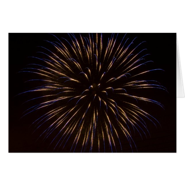 Blue Fireworks Burst (Front Horizontal)