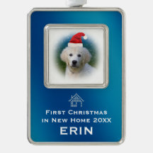 Blue First Christmas in New Home | Pet Photo