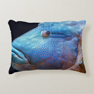 Blue fish accent pillow