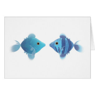 blue fishes