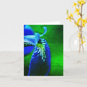Blue Flag Iris Flower Art Note  Card