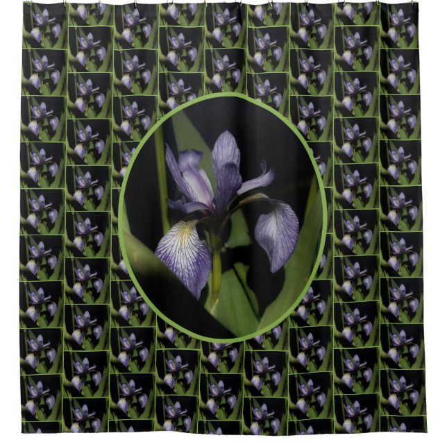 Blue Flag Iris Flower Pattern     (Front)