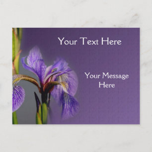 Blue Flag Iris Flower Postcard