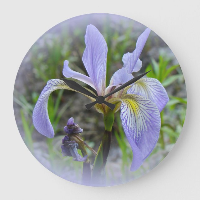 Blue Flag - Wild Iris Large Clock (Front)