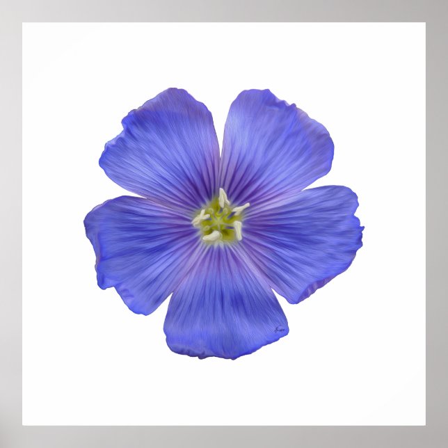 Blue Flax #1 Poster (Front)