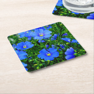 Blue Flax Linum Flowers-PULP PARTY COASTERS