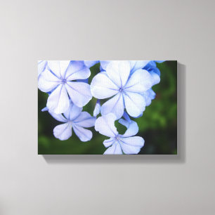Blue Floral Bokeh Canvas Print