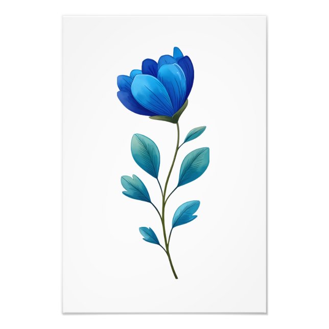 Blue Floral Botanical Illustration  Photo Print (Front)