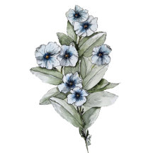 Blue Floral Guest Towel