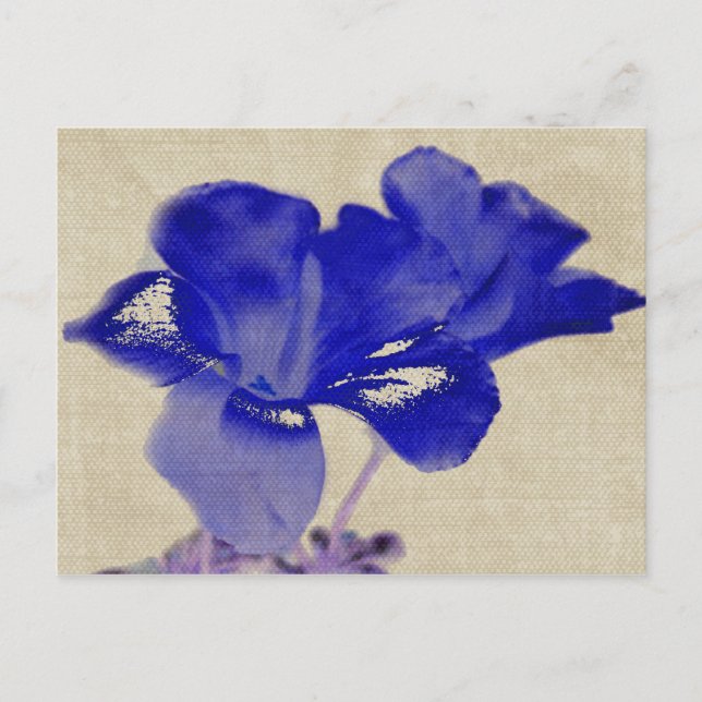 Blue Floral Postcard (Front)