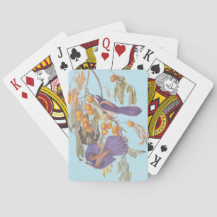 Blue Florida Scrub Jay Audubon Birds with Oranges Playing Cards