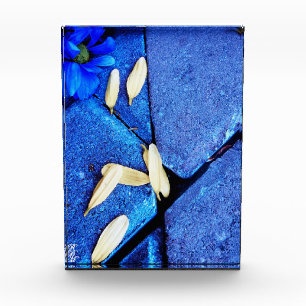 Blue Flower and Yellow Petals Photo Block
