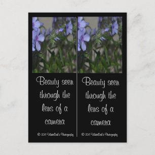 Blue Flower Bookmarks Postcard