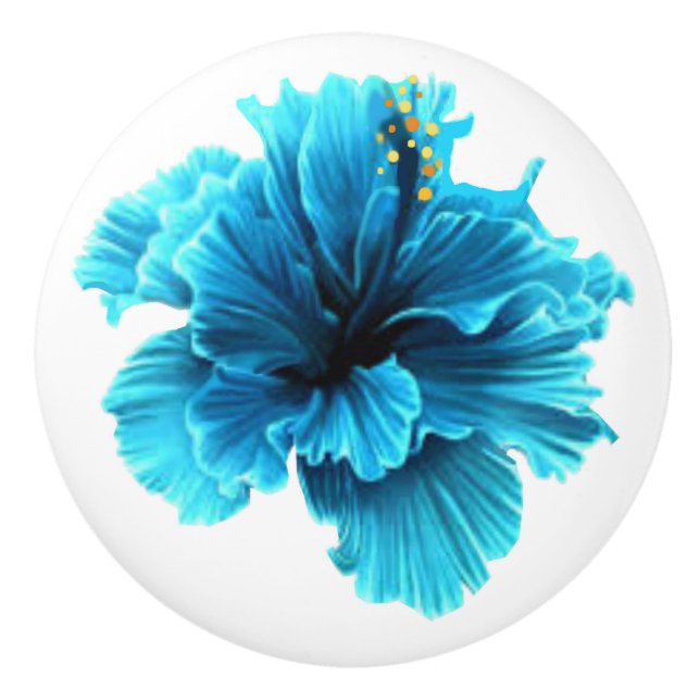 Blue Flower Ceramic Pull (Front)