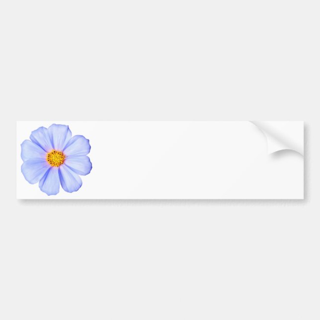 Blue Flower - Customized Cosmos Daisies Template Bumper Sticker (Front)