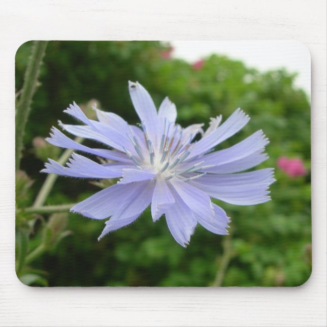 Blue Flower Mousepad (Front)
