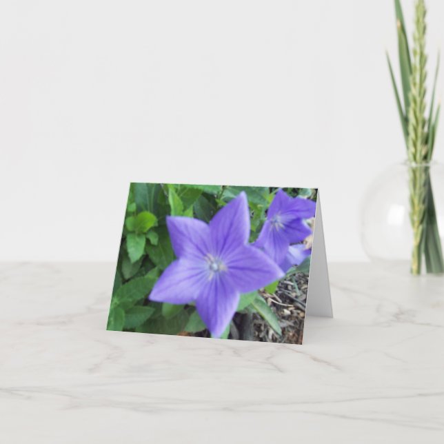 Blue Flower Note Card (Front)