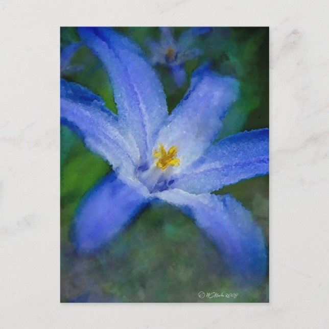 Blue Flower Postcard (Front)