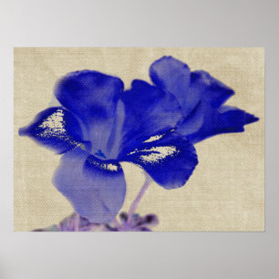 Blue Flower Poster