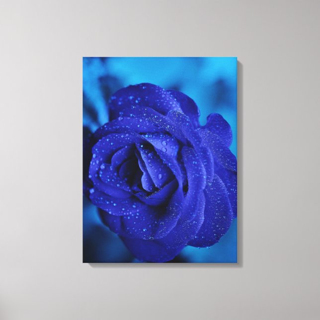 Blue Flower Stretched Canvas Print (Front)