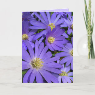 Blue Flowers Card Daisy Greeting Card Blank