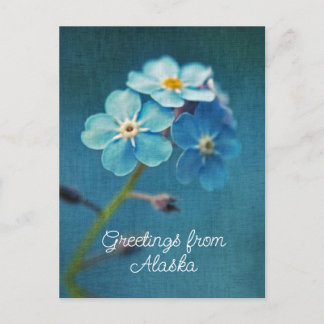Blue Flowers Forget me not Greetings from Alaska Postcard