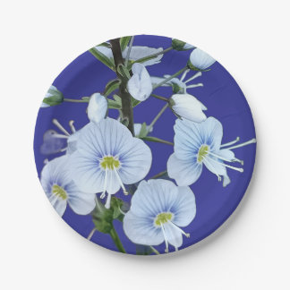 Blue flowers paper plate