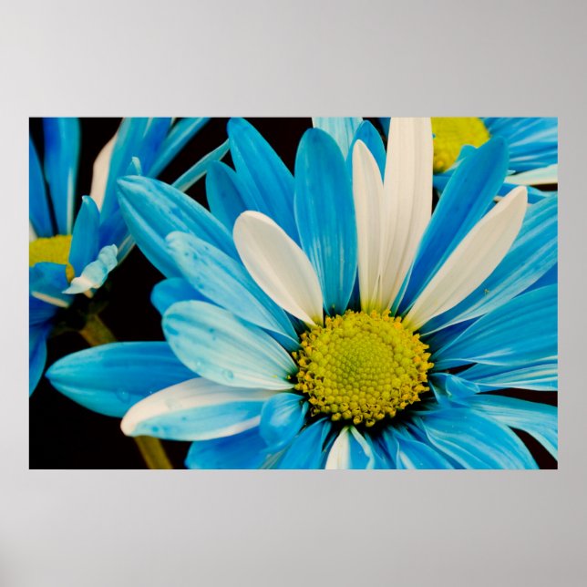 Blue Flowers Poster (Front)