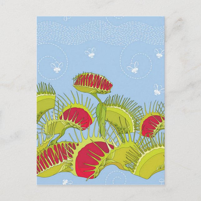 blue fly trap postcard (Front)