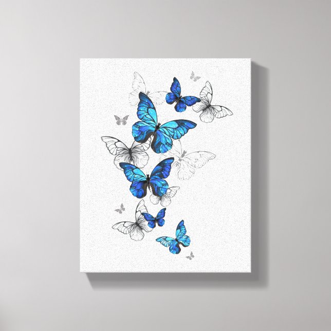 Blue Flying Butterflies Morpho Canvas Print (Front)