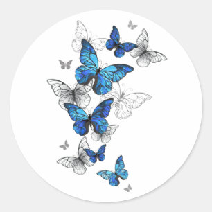 Blue Flying Butterflies Morpho Classic Round Sticker
