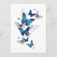 Blue Flying Butterflies Morpho