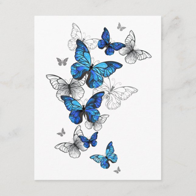 Blue Flying Butterflies Morpho Enclosure Card (Front)