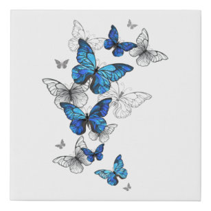 Blue Flying Butterflies Morpho Faux Canvas Print