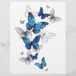 Blue Flying Butterflies Morpho Letterhead