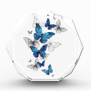 Blue Flying Butterflies Morpho Photo Block