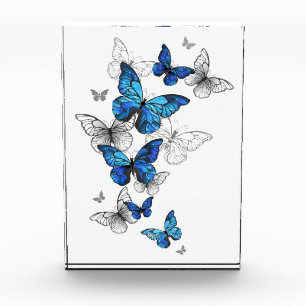 Blue Flying Butterflies Morpho Photo Block