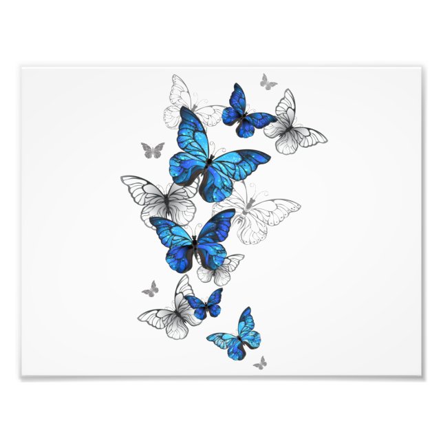 Blue Flying Butterflies Morpho Photo Print (Front)