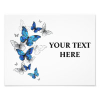 Blue Flying Butterflies Morpho