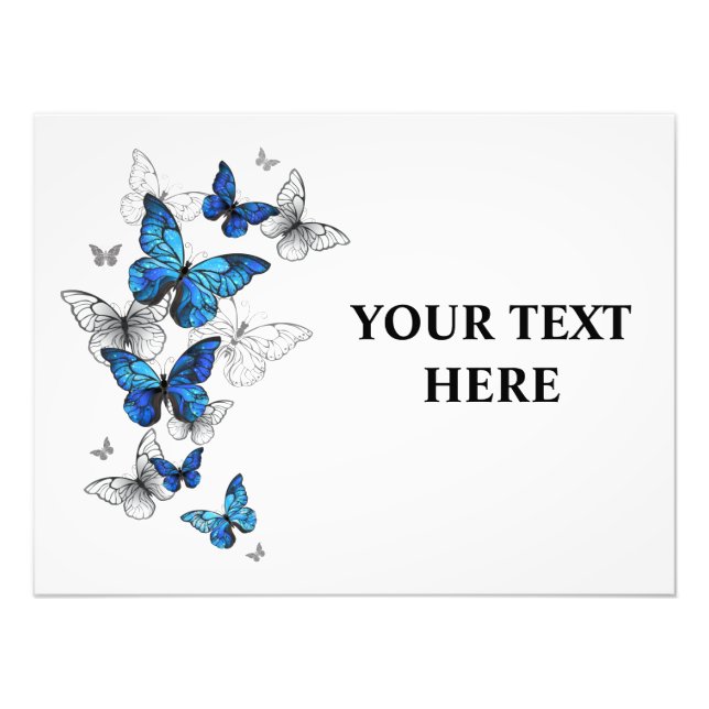Blue Flying Butterflies Morpho Photo Print (Front)