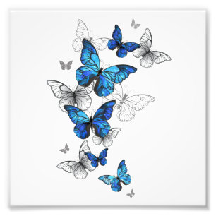 Blue Flying Butterflies Morpho Photo Print
