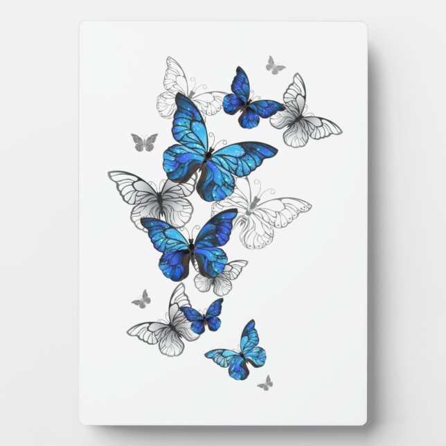 Blue Flying Butterflies Morpho Plaque (Front)