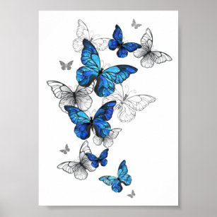 Blue Flying Butterflies Morpho Poster