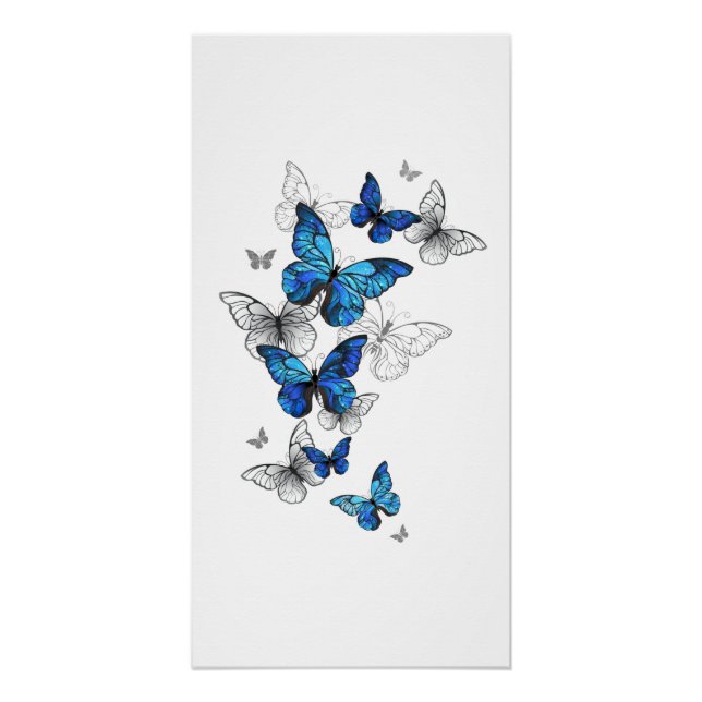 Blue Flying Butterflies Morpho Poster (Front)