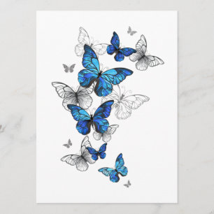 Blue Flying Butterflies Morpho Program